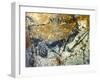 A Wounded Bison Attacking a Man, C.15,000-10,000 Bc-null-Framed Giclee Print