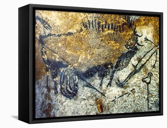 A Wounded Bison Attacking a Man, C.15,000-10,000 Bc-null-Framed Stretched Canvas