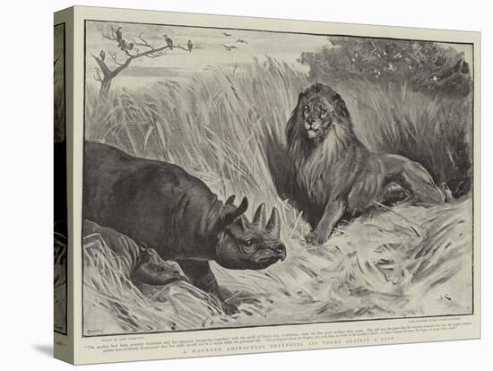 A Wounded Rhinoceros Defending its Young Against a Lion-John Charlton-Stretched Canvas