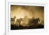 A wrangler herding horses through backlit dust cloud in golden light of sunrise-Sheila Haddad-Framed Photographic Print