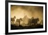 A wrangler herding horses through backlit dust cloud in golden light of sunrise-Sheila Haddad-Framed Photographic Print