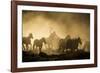 A wrangler herding horses through backlit dust cloud in golden light of sunrise-Sheila Haddad-Framed Photographic Print