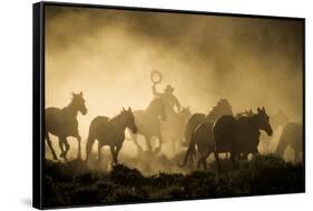 A wrangler herding horses through backlit dust cloud in golden light of sunrise-Sheila Haddad-Framed Stretched Canvas