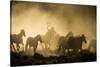 A wrangler herding horses through backlit dust cloud in golden light of sunrise-Sheila Haddad-Stretched Canvas
