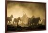 A wrangler herding horses through backlit dust cloud in golden light of sunrise-Sheila Haddad-Framed Photographic Print