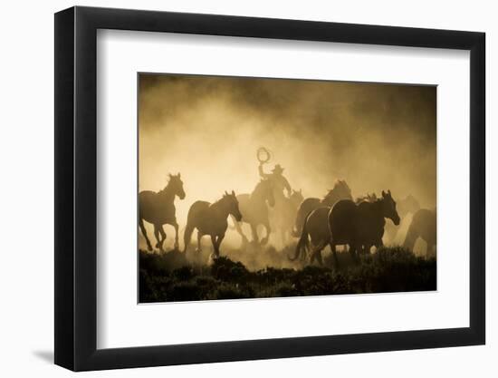 A wrangler herding horses through backlit dust cloud in golden light of sunrise-Sheila Haddad-Framed Photographic Print