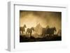 A wrangler herding horses through backlit dust cloud in golden light of sunrise-Sheila Haddad-Framed Photographic Print