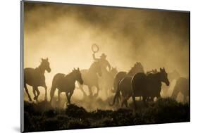 A wrangler herding horses through backlit dust cloud in golden light of sunrise-Sheila Haddad-Mounted Photographic Print