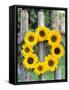 A Wreath of Sunflowers Hanging on a Fence-Alena Hrbkova-Framed Stretched Canvas