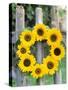 A Wreath of Sunflowers Hanging on a Fence-Alena Hrbkova-Stretched Canvas