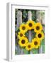 A Wreath of Sunflowers Hanging on a Fence-Alena Hrbkova-Framed Photographic Print