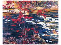 The Red Maple-A^ Y^ Jackson-Stretched Canvas