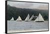 A Yacht Race on Windermere, Ferry Hotel Behind-null-Framed Stretched Canvas