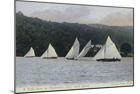Photographic Print, , large
