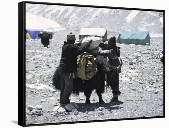 A Yak'Sdays Work, Nepal-Michael Brown-Framed Stretched Canvas