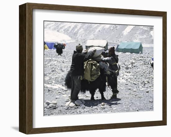 A Yak'Sdays Work, Nepal-Michael Brown-Framed Premium Photographic Print