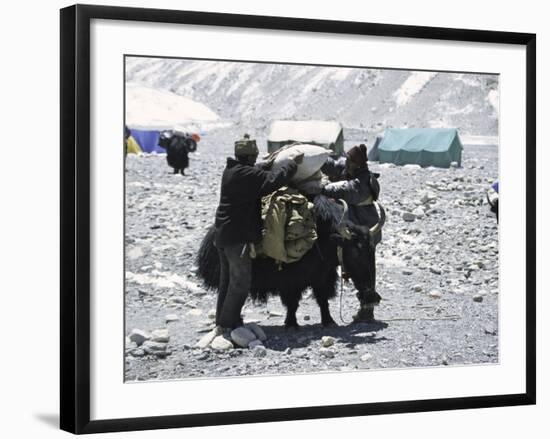 A Yak'Sdays Work, Nepal-Michael Brown-Framed Photographic Print