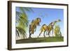 A Yangchuanosaurus Chasing Two Massospondylus Dinosaurs-null-Framed Art Print