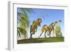 A Yangchuanosaurus Chasing Two Massospondylus Dinosaurs-null-Framed Art Print