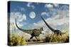 A Yangchuanosaurus Dinosaur Confronting an Omeisaurus-null-Stretched Canvas