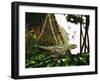 A Yangchuanosaurus Hunts Through Jungle Foliage for Prey-Stocktrek Images-Framed Art Print
