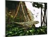 A Yangchuanosaurus Hunts Through Jungle Foliage for Prey-Stocktrek Images-Mounted Art Print