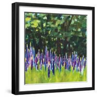 A Year of Lupines-Sue Schlabach-Framed Art Print