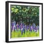 A Year of Lupines-Sue Schlabach-Framed Art Print