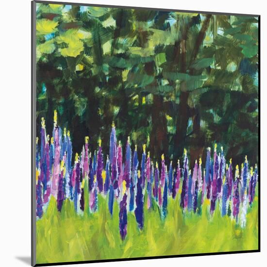 A Year of Lupines-Sue Schlabach-Mounted Art Print