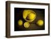 A Yellow Bowl with Lemons-Cynthia Classen-Framed Photographic Print