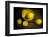 A Yellow Bowl with Lemons-Cynthia Classen-Framed Photographic Print