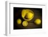 A Yellow Bowl with Lemons-Cynthia Classen-Framed Photographic Print