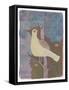 A Yellow Dove-Maria Pietri Lalor-Framed Stretched Canvas