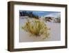 A Yellow Flowering Plant in the Amazing Surreal White Sands of New Mexico-Richard McMillin-Framed Photographic Print