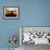 A Young Afghan Man Exercises with a Barbell in Kabul-null-Framed Photographic Print displayed on a wall