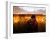 A Young Afghan Man Exercises with a Barbell in Kabul-null-Framed Photographic Print