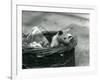 A Young Albino Opossum Peering Out of a Basket at London Zoo, October 1920-Frederick William Bond-Framed Photographic Print