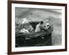 A Young Albino Opossum Peering Out of a Basket at London Zoo, October 1920-Frederick William Bond-Framed Photographic Print