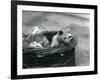 A Young Albino Opossum Peering Out of a Basket at London Zoo, October 1920-Frederick William Bond-Framed Photographic Print