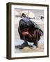 A Young Boy Drinks Water-null-Framed Photographic Print