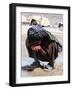 A Young Boy Drinks Water-null-Framed Photographic Print