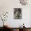 A Young Boy, Poses for His Photograph with His Pet Old English Sheepdog-null-Mounted Photographic Print displayed on a wall