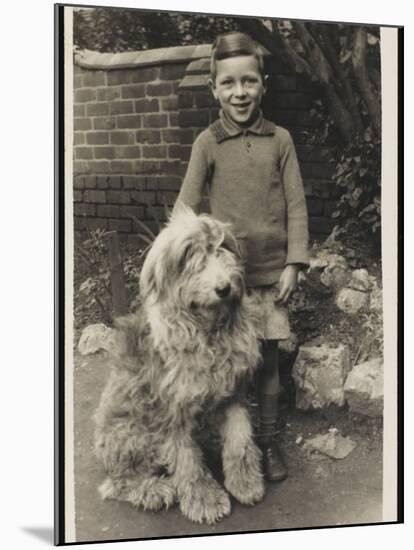 A Young Boy, Poses for His Photograph with His Pet Old English Sheepdog-null-Mounted Photographic Print