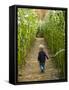 A young boy wanders a corn maze at the Moulton Farm, Meredith, New Hampshire, USA-Jerry & Marcy Monkman-Framed Stretched Canvas