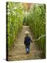 A young boy wanders a corn maze at the Moulton Farm, Meredith, New Hampshire, USA-Jerry & Marcy Monkman-Stretched Canvas