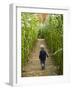 A young boy wanders a corn maze at the Moulton Farm, Meredith, New Hampshire, USA-Jerry & Marcy Monkman-Framed Photographic Print