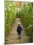 A young boy wanders a corn maze at the Moulton Farm, Meredith, New Hampshire, USA-Jerry & Marcy Monkman-Mounted Photographic Print