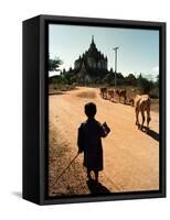 A Young Burmese Boy Tends His Family's Cows Near the Thatbinnyu Temple-null-Framed Stretched Canvas