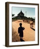 A Young Burmese Boy Tends His Family's Cows Near the Thatbinnyu Temple-null-Framed Photographic Print