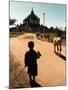 A Young Burmese Boy Tends His Family's Cows Near the Thatbinnyu Temple-null-Mounted Photographic Print